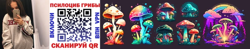 Псилоцибиновые грибы Psilocybe  Фатеж 
